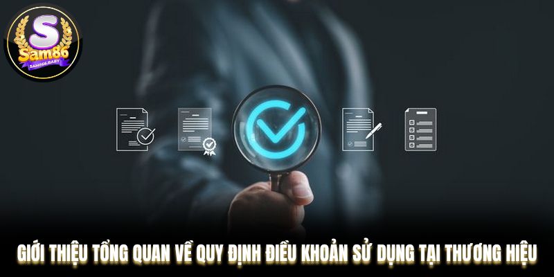 Giới thiệu tổng quan về quy định điều khoản sử dụng tại thương hiệu